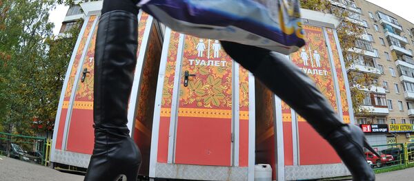 В Москве появились общественные туалеты, расписанные под хохлому - Sputnik Кыргызстан