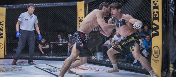 Международный турнир Федерации эртаймаш кулатуу WEF-4 - Sputnik Кыргызстан