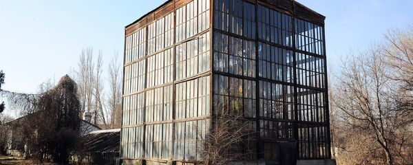 Ботаникалык бактагы күнөскана. Архив - Sputnik Кыргызстан