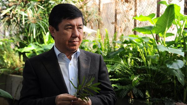 Премьер-министр Темир Сариев ознакомился с состоянием Ботанического сада имени Э.Гареева - Sputnik Кыргызстан