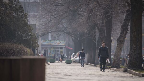 Улицы города Бишкек - Sputnik Кыргызстан