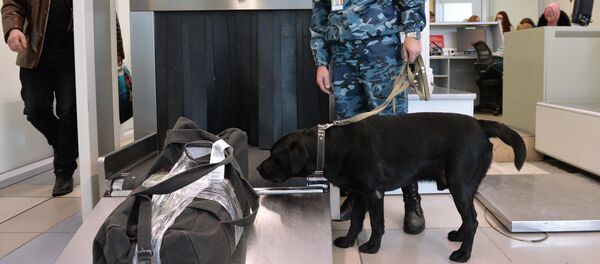 Досмотр багажа в аэропорту. Архивное фото - Sputnik Кыргызстан