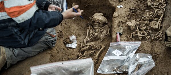 Археолог во время раскопок. - Sputnik Кыргызстан