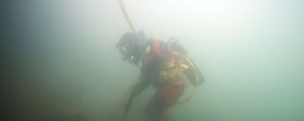 Аквалангист под водой - Sputnik Кыргызстан