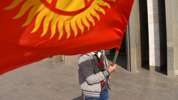 Мальчик с флагом КР. Архивное фото - Sputnik Кыргызстан