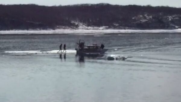 Спасатели на катере забрали с дрейфующей льдины двух любительниц селфи - Sputnik Кыргызстан