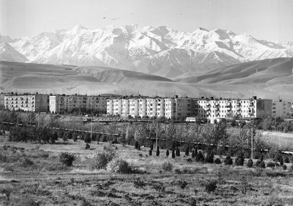 Борбор калаанын 5-кичи району, 1982-жыл - Sputnik Кыргызстан