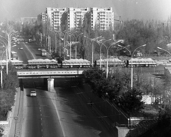Фрунзе шаарында көпүрөлөрдө ураандар жазылган. Совет көчөсүндөгү көпүрө, 1984-жыл - Sputnik Кыргызстан