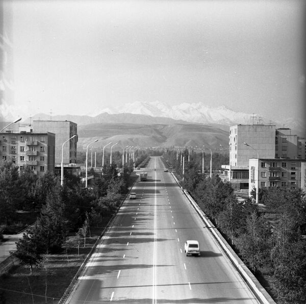10-кичи район жайгашкан аймактагы Совет көчөсү, 1982-жыл. Бүгүнкү күнү мындай ээн көчөнү элестетүү кыйын - Sputnik Кыргызстан