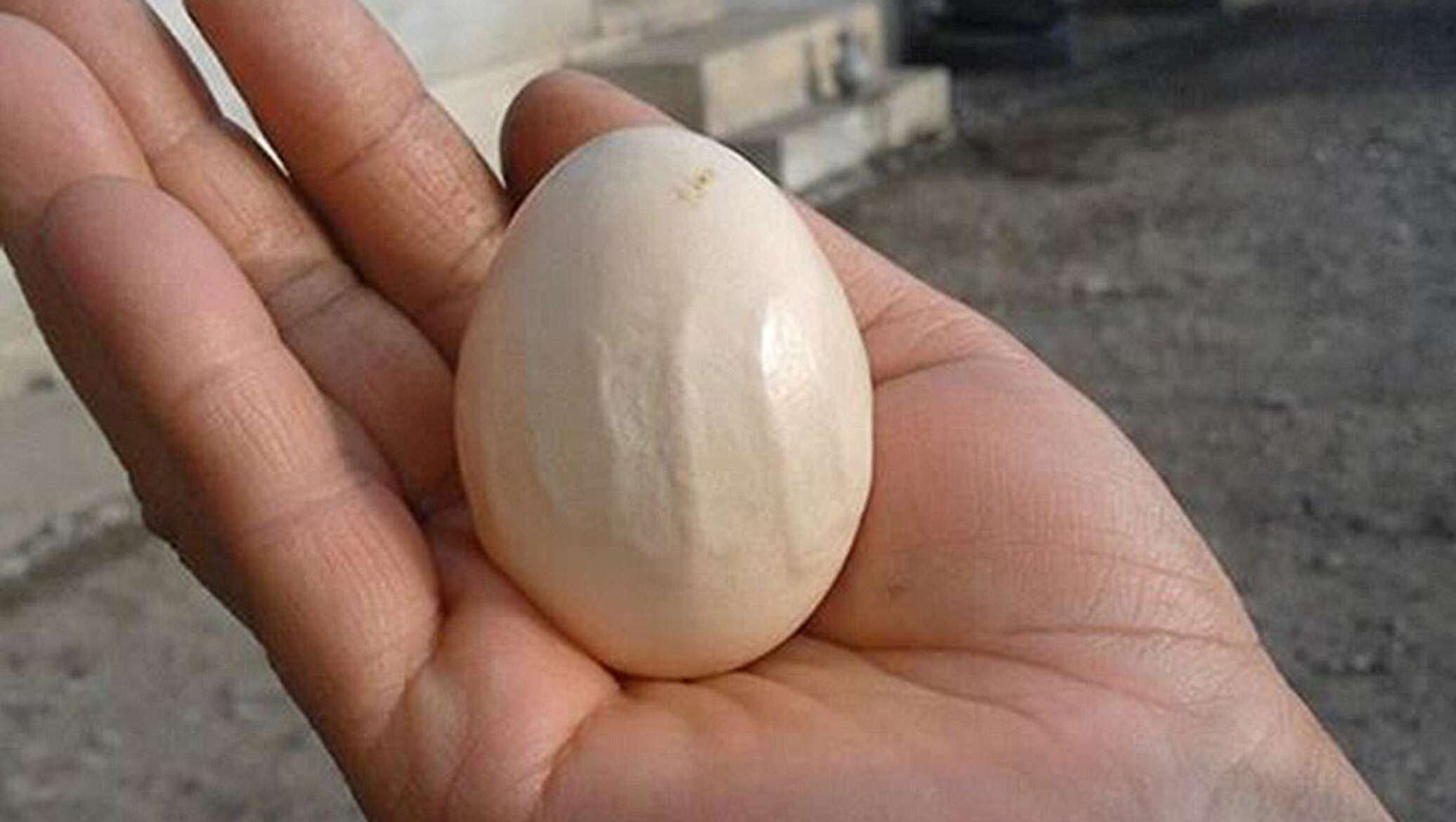 Мусульманские яйца. Яйцо с именем Аллаха.