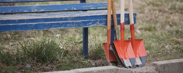 Көчөт отургузуу. Архив - Sputnik Кыргызстан