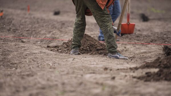 Рабочий копает землю. Архивное фото - Sputnik Кыргызстан
