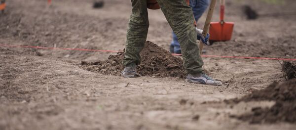 Сотрудник муниципального предприятия копает землю во время посадки саженцев в Ботаническом саду им. Э.Гареева. Архивное фото - Sputnik Кыргызстан