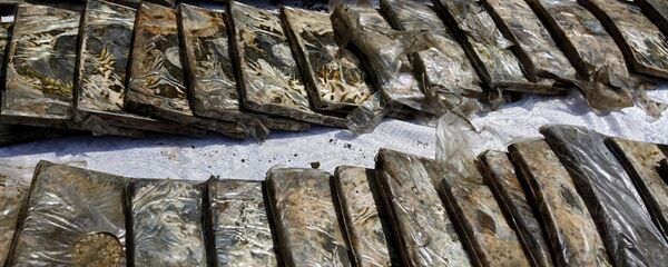 Пакеттеги нашаа. Архив - Sputnik Кыргызстан