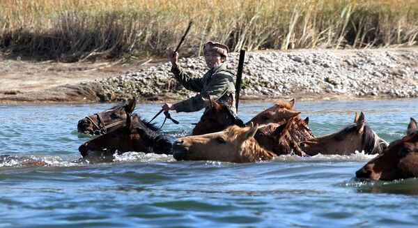 Акыркы жылдары тартылган дагы бир жакшы кинолордун бири Актын Арым Кубаттын "Кентавры" болду. Ал өз элинин улуттук баалуулуктарынын сакталып калышына жан үрөгөн адам тууралуу баяндайт. - Sputnik Кыргызстан