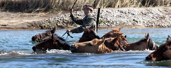 Кентавр тасмасынан кадр. Архив Кентавр тасмасынан кадр. Архив - Sputnik Кыргызстан