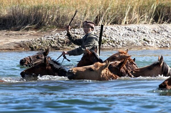 Буга чейин аталган тасманын дүйнөлүк прокаты менен Европанын The Match Factory компаниясы алектенери кабарланган. - Sputnik Кыргызстан