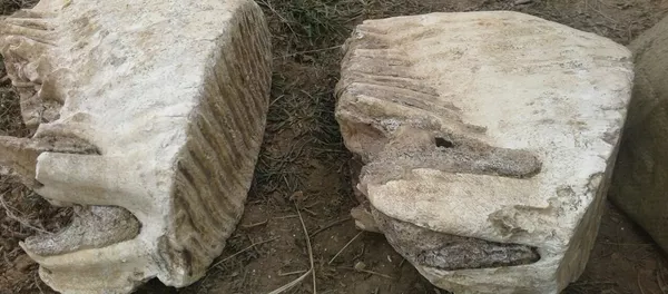 Находка останков костей мамонта в Иссык-Кульской области - Sputnik Кыргызстан