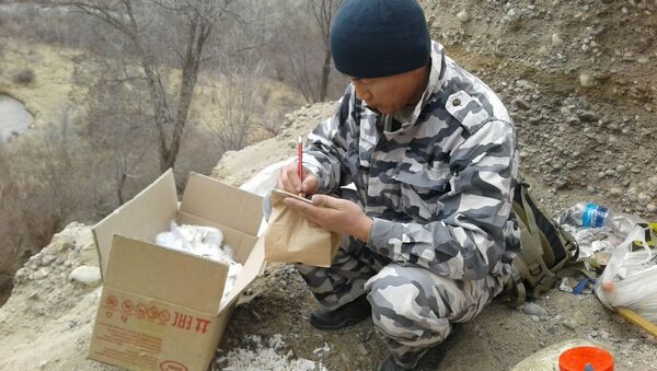 Ученые на месте находки останков костей мамонта в Иссык-Кульской области. Архивное фото - Sputnik Кыргызстан