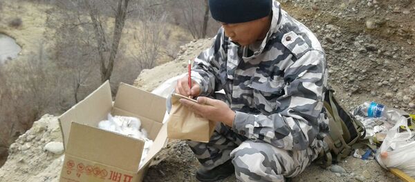 Ученые на месте находки останков костей мамонта в Иссык-Кульской области - Sputnik Кыргызстан