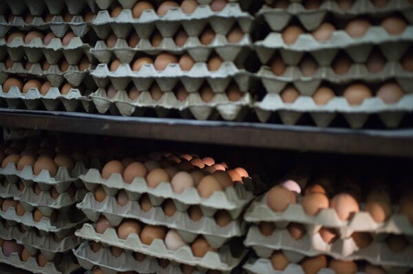 Птицефабрика в Омской области - Sputnik Кыргызстан