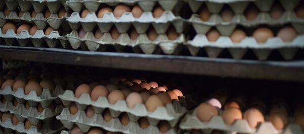 Яйца. Архивное фото Яйца. Архивное фото - Sputnik Кыргызстан