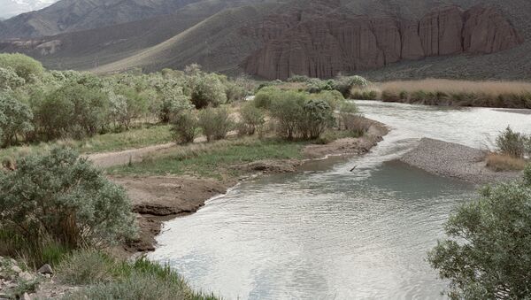 Река Чу в Боомском ущелье. Архивное фото - Sputnik Кыргызстан