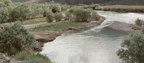 Чу дарыясы. Архив - Sputnik Кыргызстан