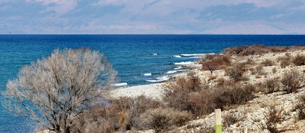 Вид на озеро Иссык-Куль с берега. Архивное фото - Sputnik Кыргызстан