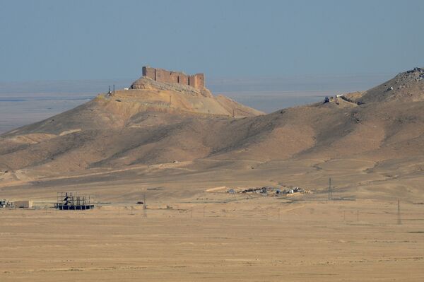 Вид на старый замок на холме со стороны позиций правительственной армии Сирии в 7 км к западу от города Пальмира в Сирии. Архивное фото - Sputnik Кыргызстан