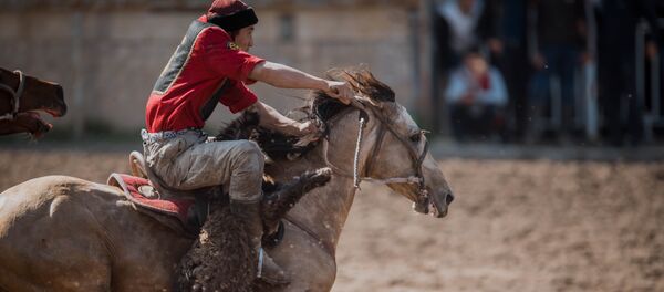 Көк бөрү оюнчусу. Архив - Sputnik Кыргызстан