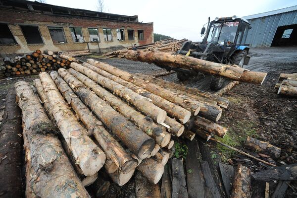 Заготовка дров. Архивное фото - Sputnik Кыргызстан