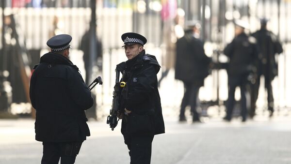 Вооруженные полицейские стоят на страже на Даунинг-стрит в Лондоне, Великобритания 22 марта 2016 года. Архивное фото - Sputnik Кыргызстан