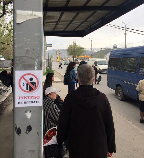 Наклейка Тукурбо — Не плевать! в Бишкеке - Sputnik Кыргызстан