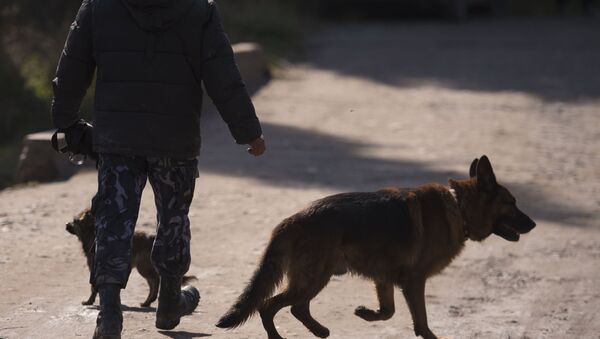 Кинолог с собакой. Архивное фото - Sputnik Кыргызстан