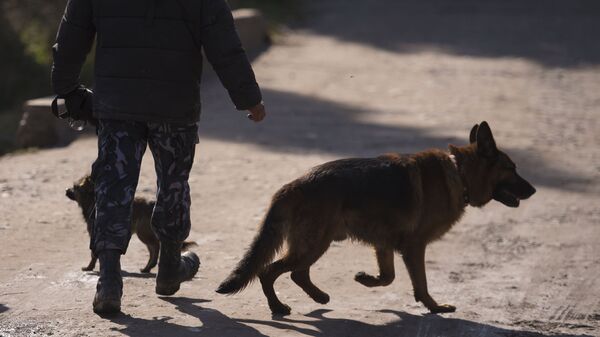 Кинолог с собакой. Архивное фото - Sputnik Кыргызстан