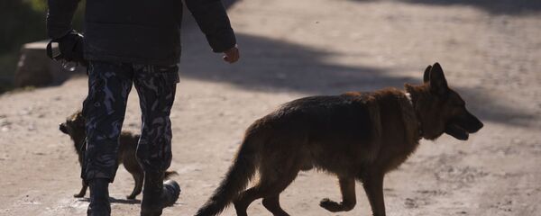 ИИМ кызматкери ити менен. Архив - Sputnik Кыргызстан