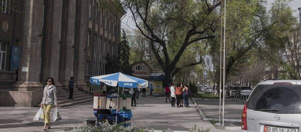 Деревья угрожающие жизни безопасности бишкекчан - Sputnik Кыргызстан