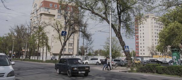 Накренившееся дерево у проспекта Манаса - Sputnik Кыргызстан