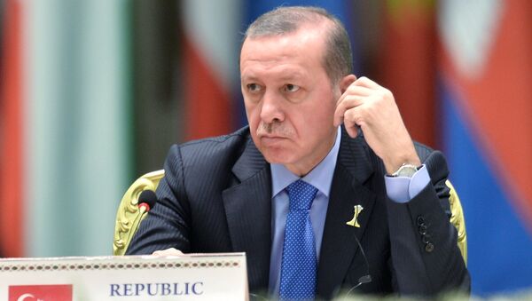 Президент Турции Реджеп Тайип Эрдоган. Архивное фото - Sputnik Кыргызстан