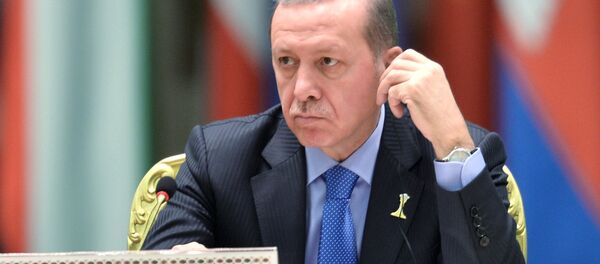 Түркиянын президенти Режеп Тайип Эрдоган. Архив - Sputnik Кыргызстан