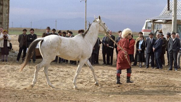 Демонстрация ахалтекинских лошадей, выращенных в Туркмении - Sputnik Кыргызстан