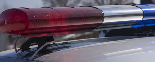 Кайгуул милициясынын автоунаасы. Архив Кайгуул милициясынын автоунаасы. Архив - Sputnik Кыргызстан