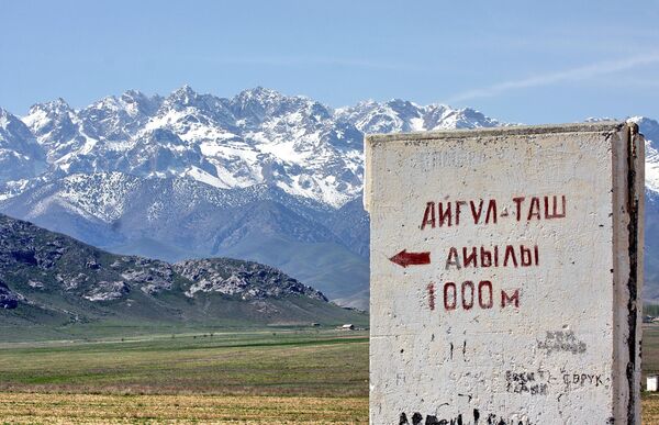 До горы, на которой растет цветок, еще километр - Sputnik Кыргызстан
