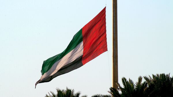 Флаг Объединённых Арабских Эмиратов. Архивное фото - Sputnik Кыргызстан