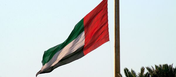 Флаг Объединённых Арабских Эмиратов. Архивное фото - Sputnik Кыргызстан