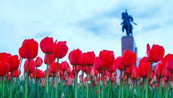 Тюльпаны на клумбах на площади Ала-Тоо. - Sputnik Кыргызстан