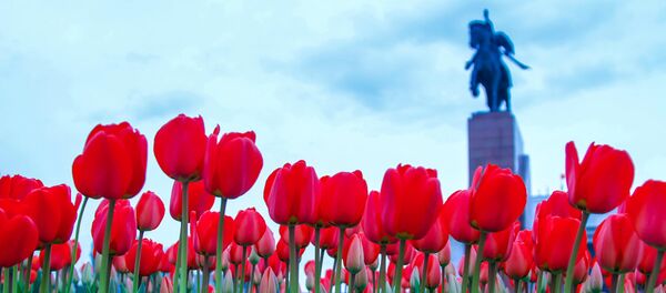 Бишкектеги жоогазындар. Архив  - Sputnik Кыргызстан