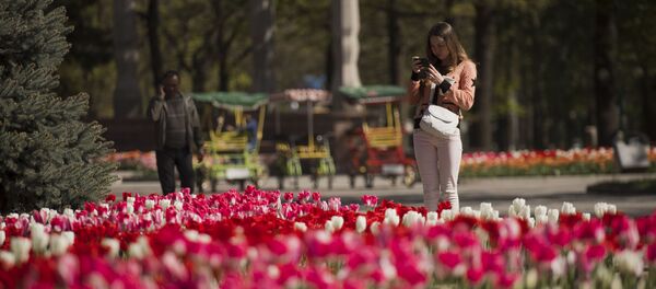 Телефонго сүрөт тартып жаткан кыз. Архив - Sputnik Кыргызстан