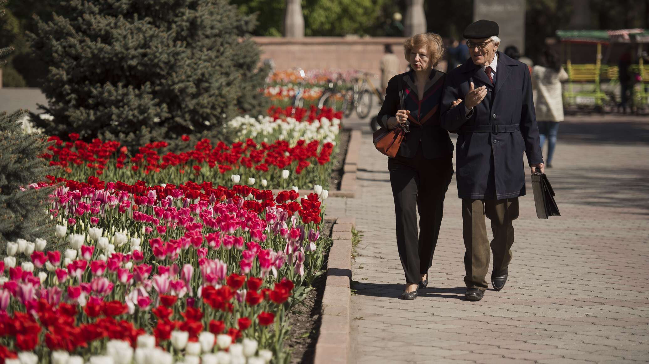 цветущие сады в новочеркасске. по над доном сад цветёт. шатунов. цветы минус.